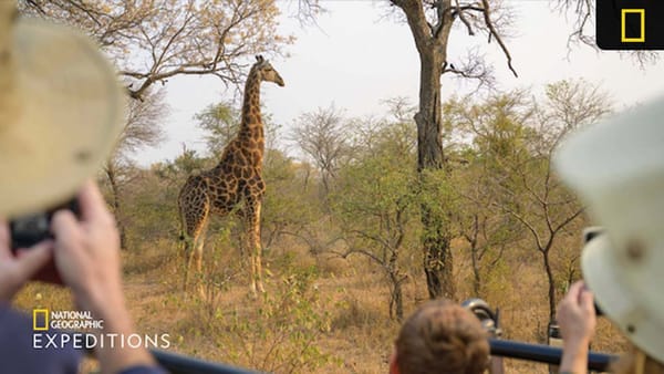 Top Five Experiences in New Nat Geo Expeditions Southern Africa Itinerary